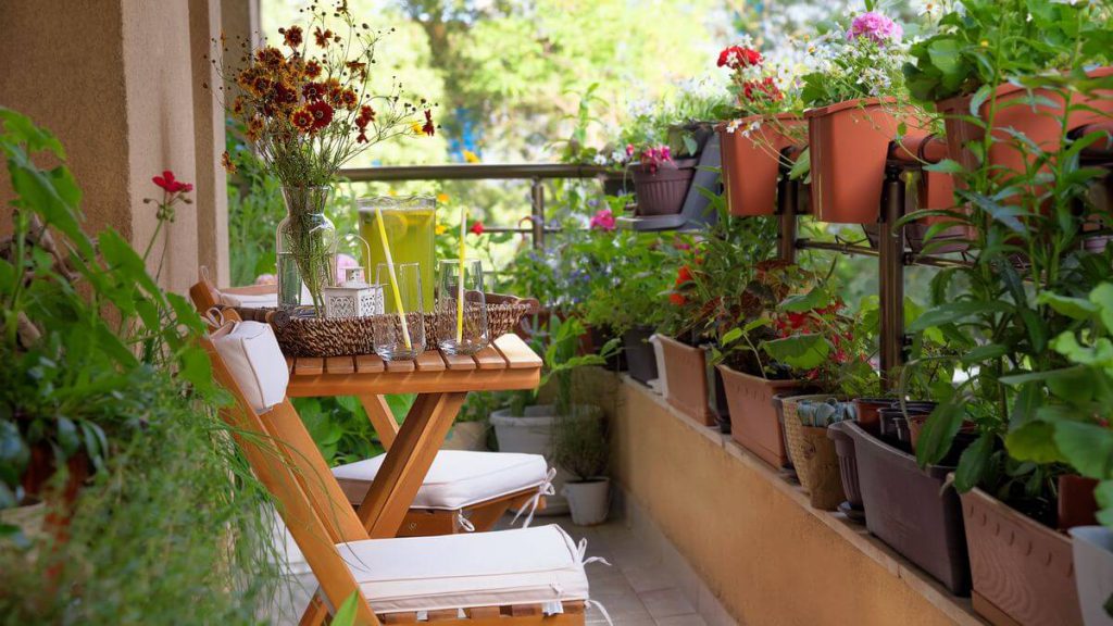 استفاده از گیاهان در پاسیوهای کوچک