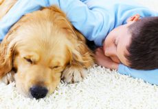 فرش مناسب کودکان و حیوانات خانگی